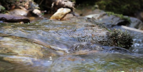 Gentle Stream Flowing Over Rocks and Moss