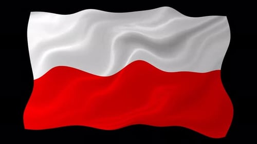 Realistic Waving Poland Flag Animation Seamless Loop