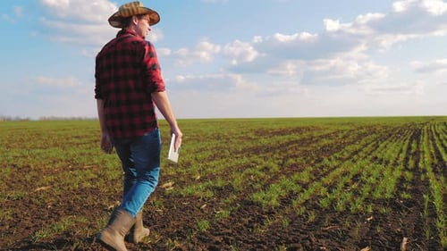 Farmer Inspecting Crops with Tablet in Rural Field