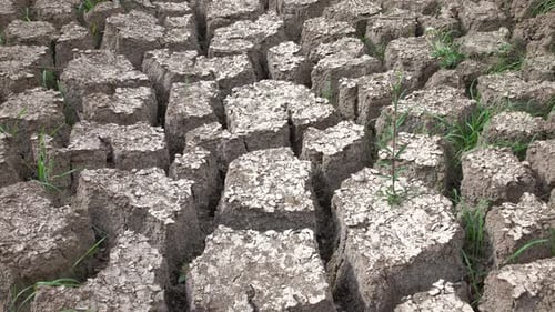 Dry Barren Cracked Earth in Bright Sunlight