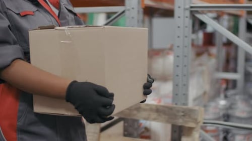 Warehouse Female Worker Carrying Box