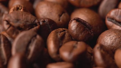 Viele Kaffeekörner aus nächster Nähe, Kaffeekörner fallen, Körner für aromatischen Kaffee