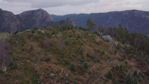 Young Christmas Trees Growing On The Rocky Mountain With Scenic Landscape. - aerial