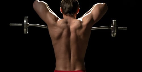 Increase Muscular Bulk