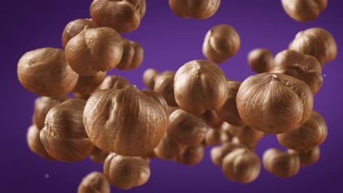Floating Pile of Hazelnuts on Purple Background