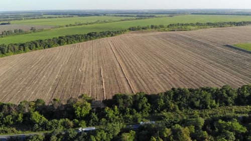 Aerial View of a Large Agricultural Field After Harvesting on a Sunny Day