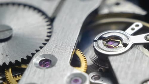 Watch Gears and Intricate Internal Mechanisms