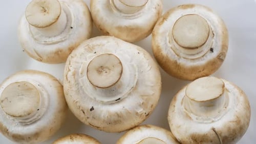Champignons, close up