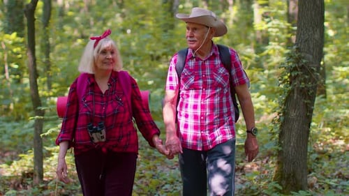 Senior Couple Walking Holding Hands in Green Forest