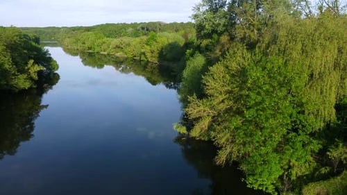 Aerial Drone View Flight Over Mirror Smooth Surface of River and Trees
