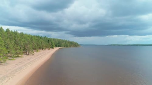 Aerial View of the Lake and Forest