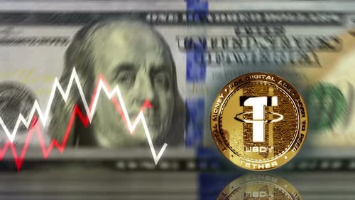 Tether USDT Stablecoin Kryptowährung Münze über 100 Dollar Banknotenschleife