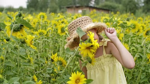 Girl in Yellow Dress Among Sunflowers on Sunny Day