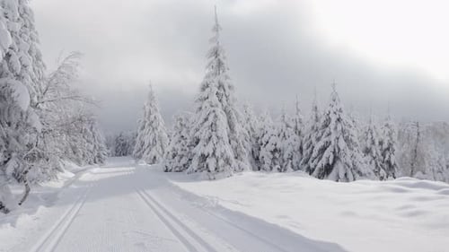 A Crosscountry Skiing Trail on a Snowcovered Hill with Trees