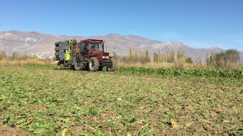 Tractor Harvesting Crops in a Rural Setting