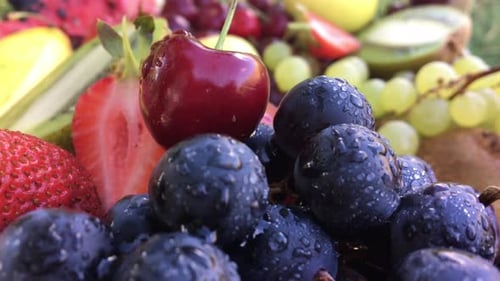 Fruits