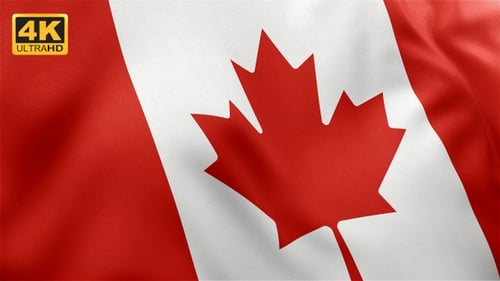 Realistic Waving Canadian Flag Loop Animation