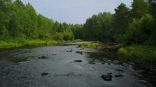 Aerial Sliding By the Forest River at Karelia, Russia