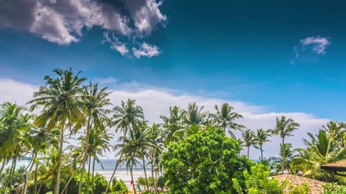 Sri Lankas Sonnenstrand mit Palmen