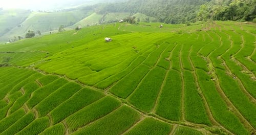 Terraço do campo de arroz em terras agrícolas de montanha.