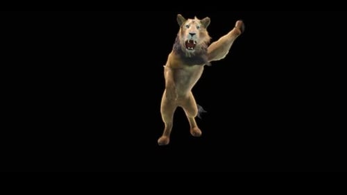 Lion HD