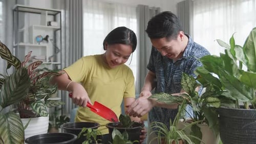 Father And Daughter Transplanting Plant At Home