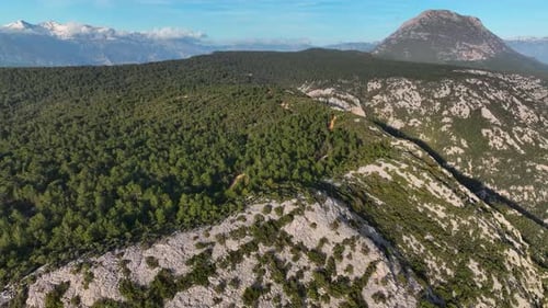 Road in the forest high in the mountains