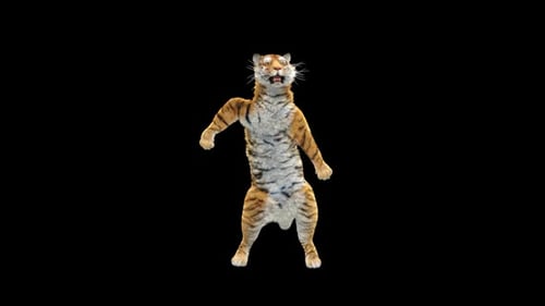 Tiger-Tanz HD