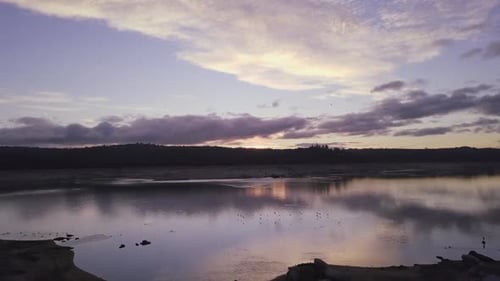 Sun rising over peaceful swamp