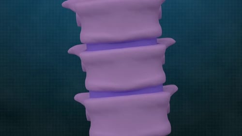 Human Spine Vertebrae Compression and Rotation Medical Animation
