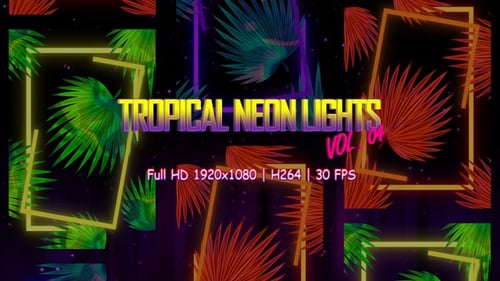 Tropical Neon Lights Vol. 04 VJ Loop