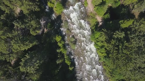 Aktuelle Ansicht der Luftdrohne mit rauschenden Stromschnellen zwischen immergrünem Wald 1