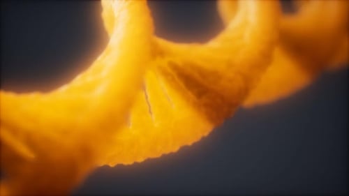 Loopable Structure of the DNA Double Helix Animation