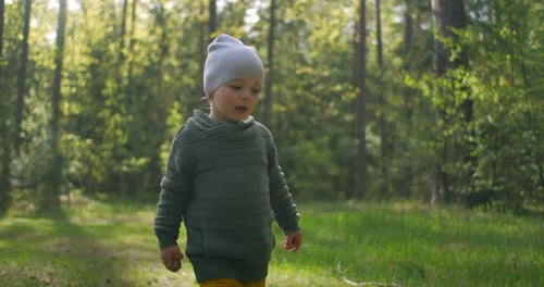 A 2-Year-old Caucasian Boy Walks in Slow Motion Along Forest Paths in a Pine Forest