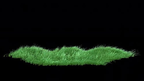 Grass Strong Wind Loop