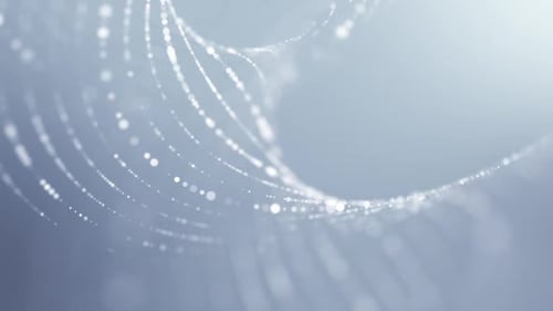 Beautiful Elegant Swirl Distorted Particle Lines Abstract Background