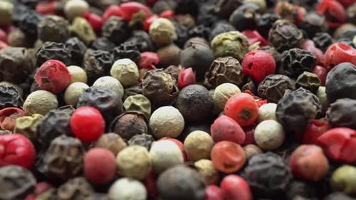 Mix of Colorful Gourmet Peppercorns Close Up