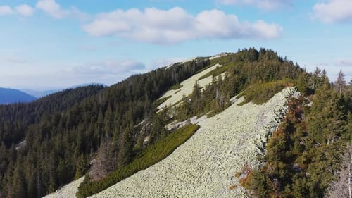 Immergrüner Wald auf dem Gipfel des High Stone Mountain unter blauem Himmel