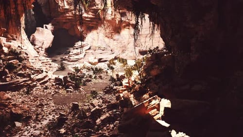 View From Inside a Dark Cave with Green Plants and Light on the Exit