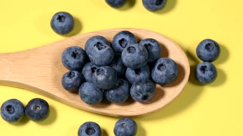 Blueberry rotating in wooden spoon on yellow background top view