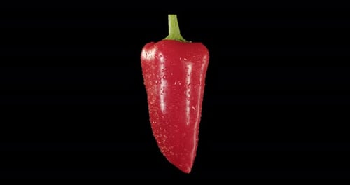Red Pepper. Alpha Channel. Rotation