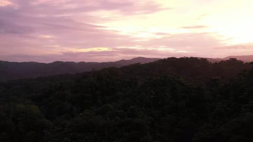 Vista aérea de silhuetas de árvores visíveis à noite com um céu amarelo e rosa brilhante