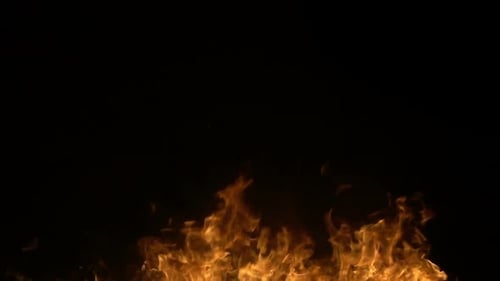Fire Line 7
