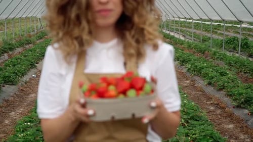 Smiling Woman Smelling Strawberries Scent at Farm
