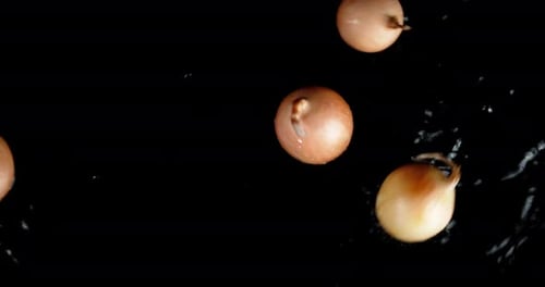 Whole Onions Rolling Around the Table.