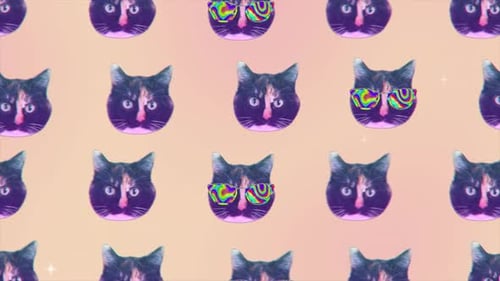 Animación de collage de caras de gatos volando en un diseño de movimiento mínimo