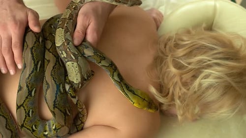 Python rampant sur le dos d'une femme