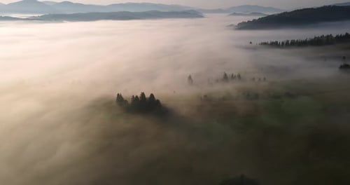 Nebel in den Bergen bedeckt die gesamte Oberfläche