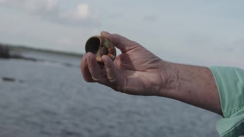 Hand Holds Snail Shell by the Ocean
