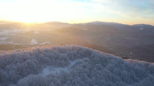 Winter Sunrise Above The Mountain Forest 7